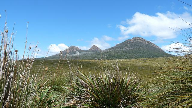 (71) Mount King William 1st.JPG